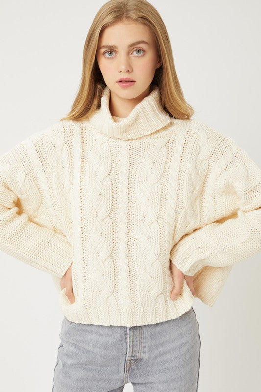 Turtle Neck Sweater